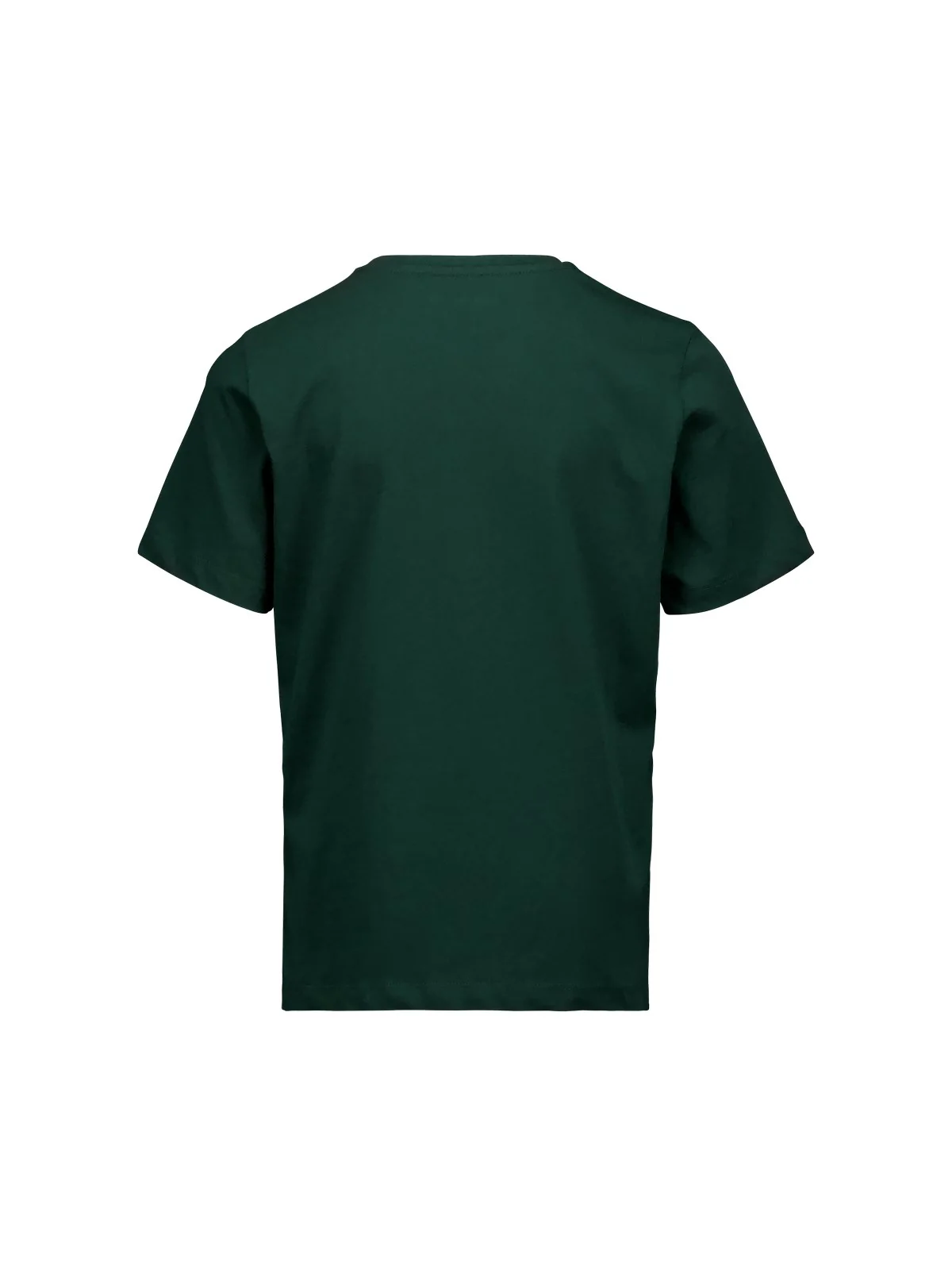 Koszulka POC Tee Jr - Parg. Green - Image 5