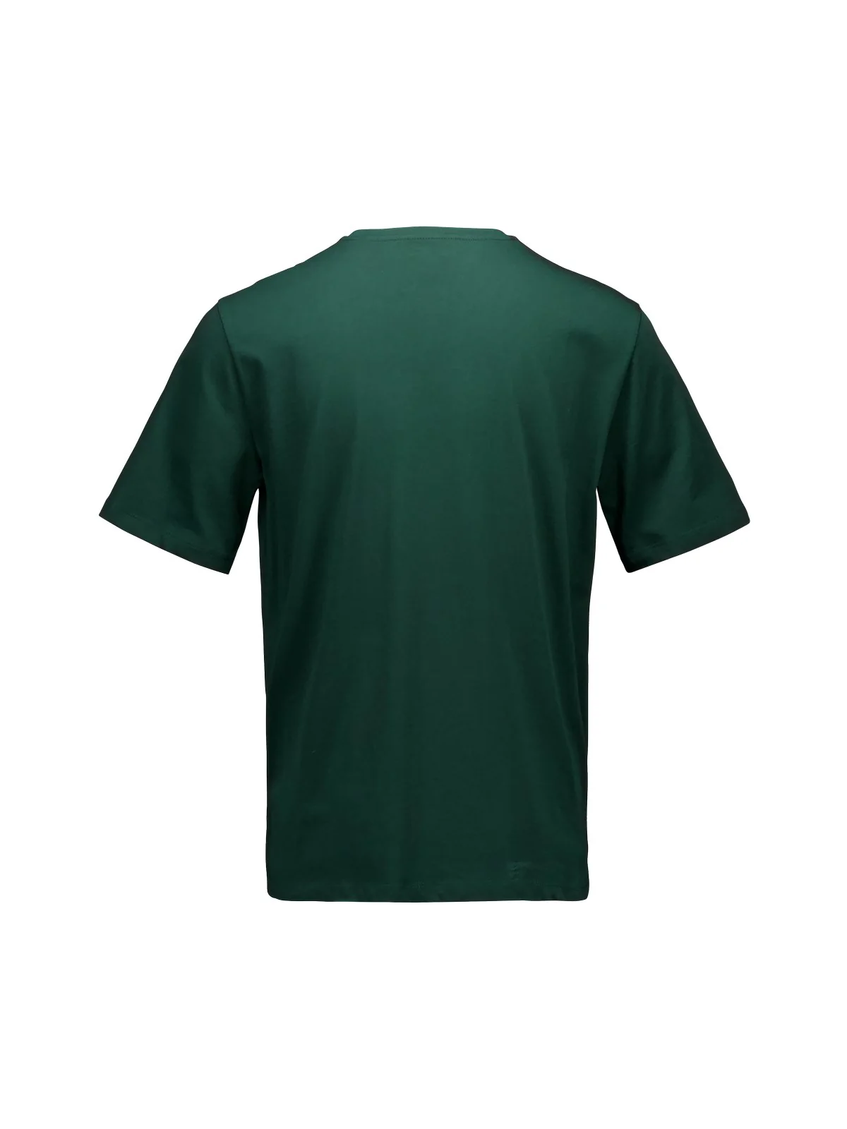 Koszulka POC Tee - Parg. Green - Image 4