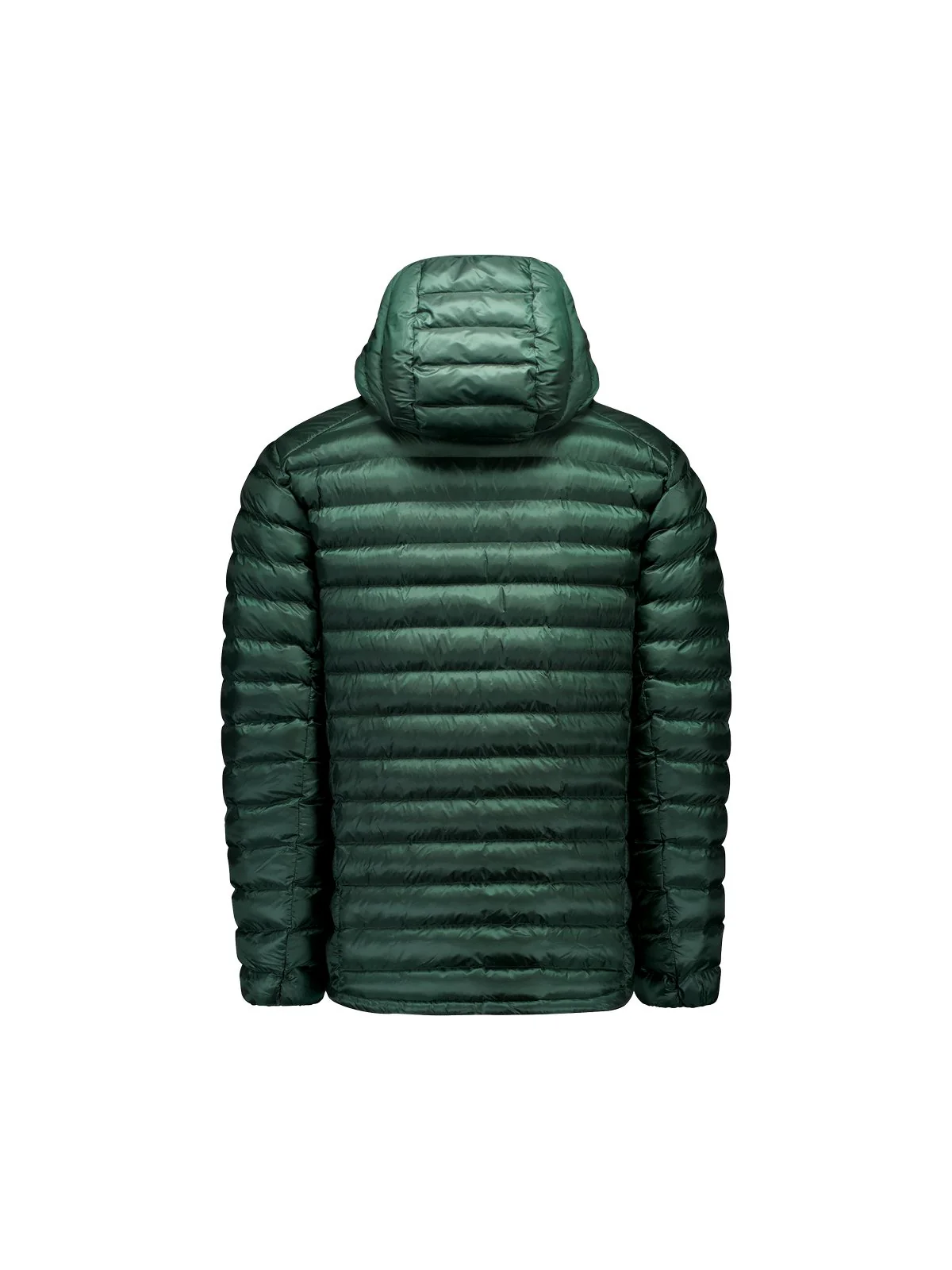 Kurtka męska POC M's Coalesce Jacket - Pargasite Green - Image 7